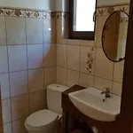 Saracena